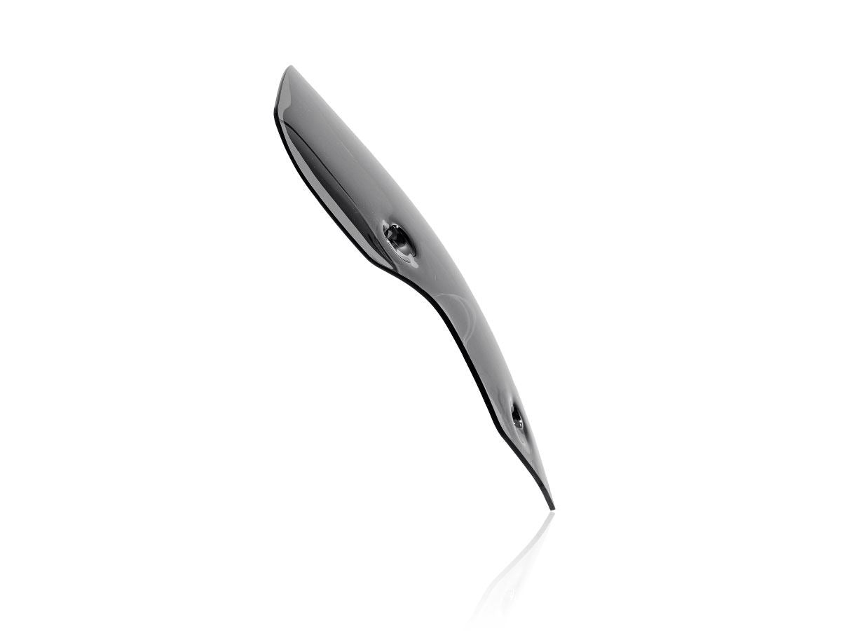 WRS Windscreen Sport Triumph Tiger900 Dsmk Tr004fs