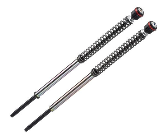 Bitubo JBH12 Series fork cartridges For Harley XL 883 N 2007-2019 HD001JBH12WO