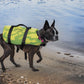 SLIPPERY Watersports Pet Vest S19 Yellow/Green