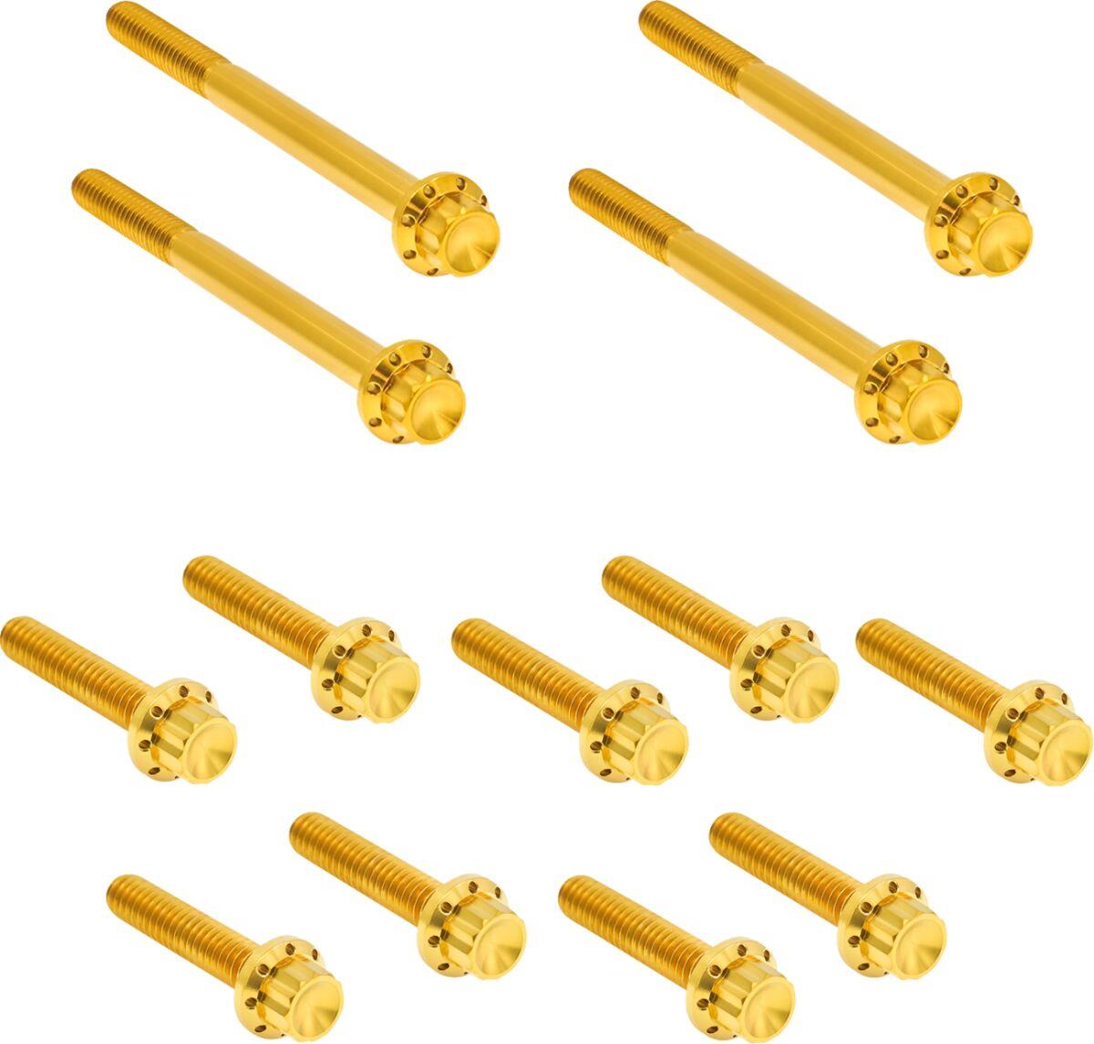 Arlen Ness Outer Primary Cover Titanium 12-Point Bolt Kit Gold Titanium 300-928