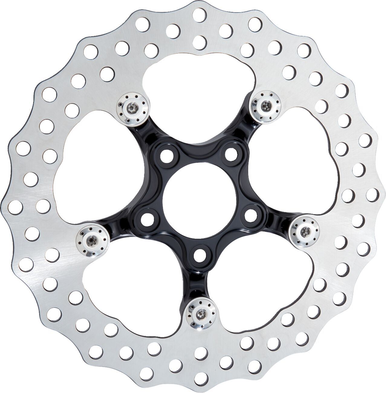 Arlen Ness Spider Rotor Brake Black 420 High-Carbon Stainless Steel 11.5 300-056