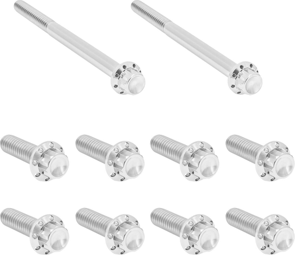 Arlen Ness Side Cover & Trap Door Titanium 12-Point Bolt Kit 300-950