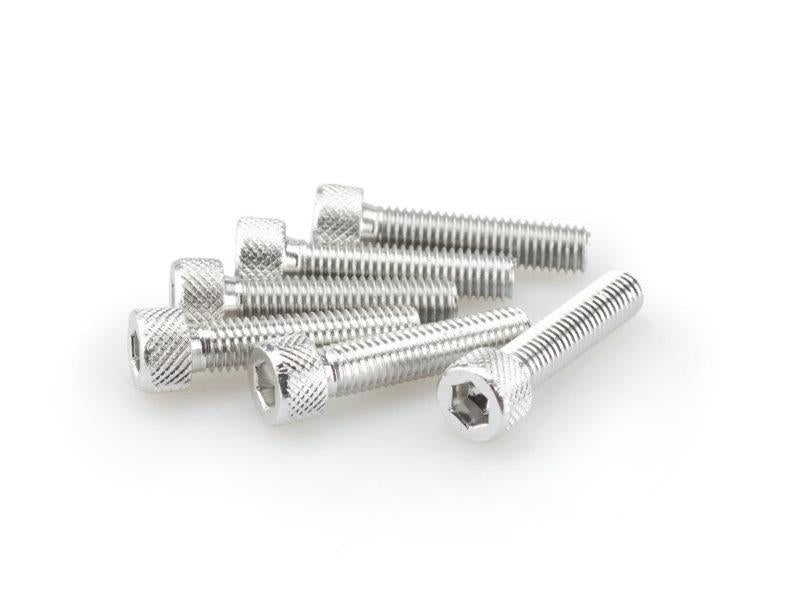 PUIG M8 Domed Screws 35mm x 6 Silver Universal 0500P
