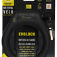 Auvray Horseshoe Evolock Art