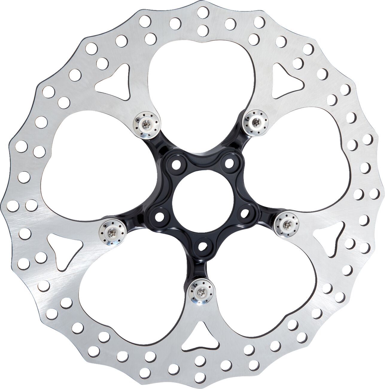 Arlen Ness Spider Rotor Brake Black 420 High-Carbon Stainless Steel 300-058