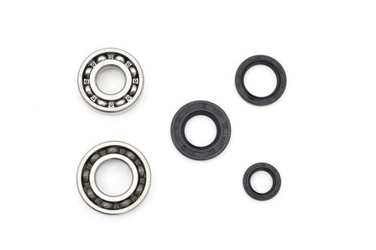 NARAKU Crankshaft Bearings NK100.69