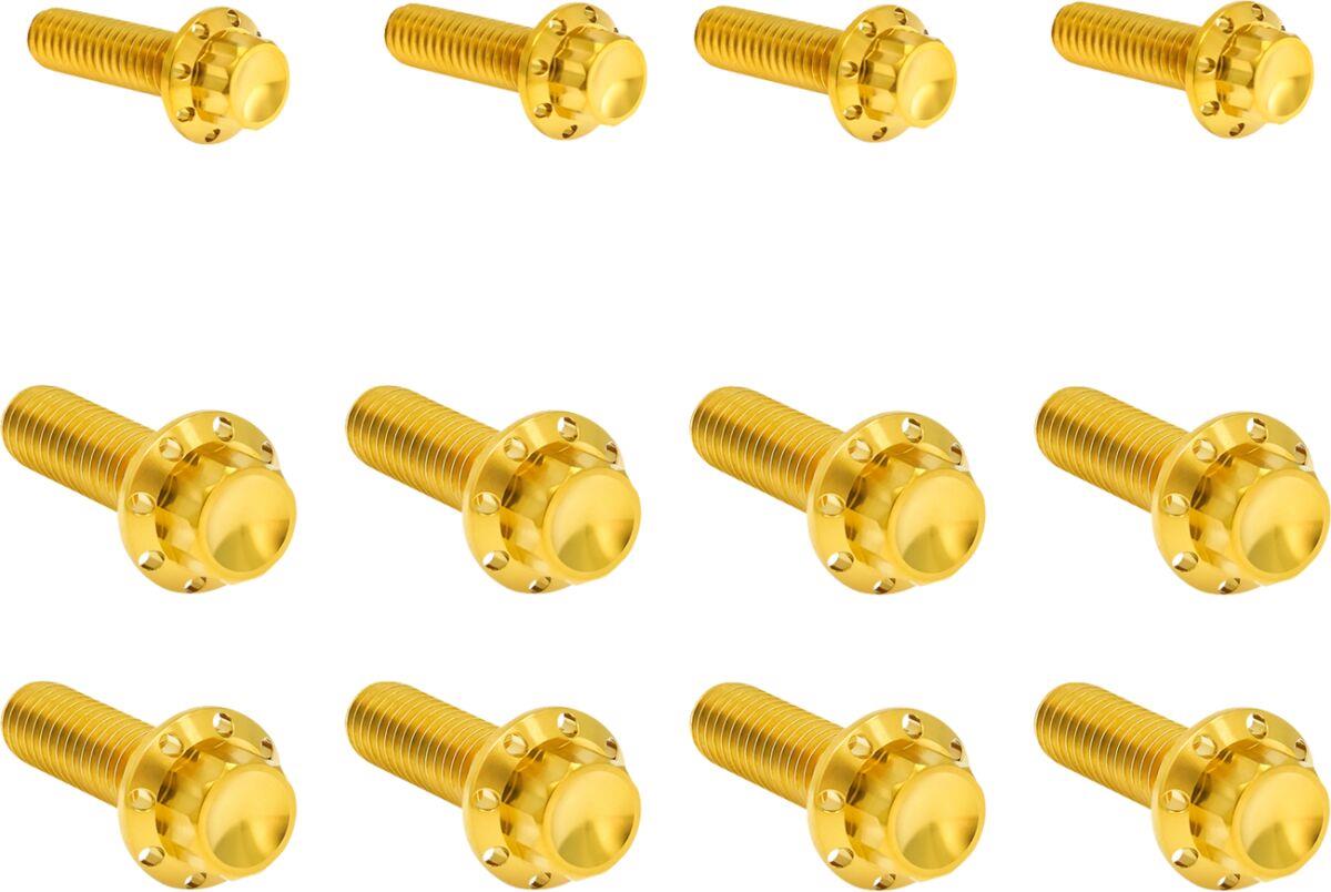 Arlen Ness Transmission Side Cover & Trap Door 12-Point Bolt Kit 300-955