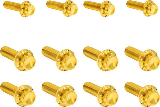 Arlen Ness Transmission Side Cover & Trap Door 12-Point Bolt Kit 300-955