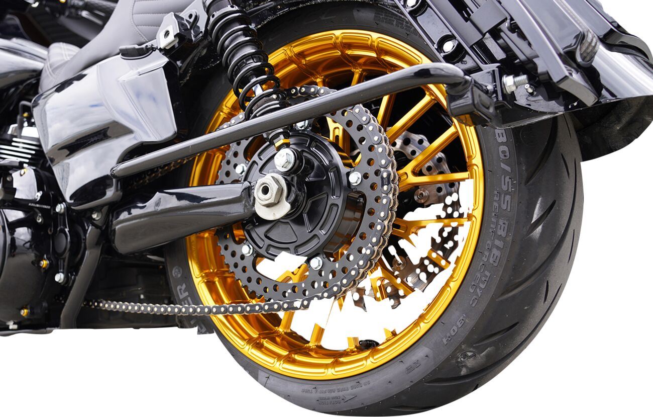 Arlen Ness Chain Drive Conversion Kit For Harley Davidson FLHRXS 09-24 300-203