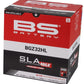 Bs Battery SLA MAX AGM Maintenance-Free Battery For BMW R 18 1973-2026 300935