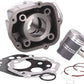 NARAKU Crankshaft Bearings NK100.37