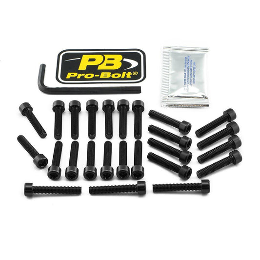 Pro Bolt Engine Bolt Kit For Kawasaki Z 900 RS 2018-2024 EKA430BK
