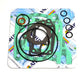 Athena Top-End Gasket Kit For Gas Gas EC 125 Racing 01-15 P400155600001