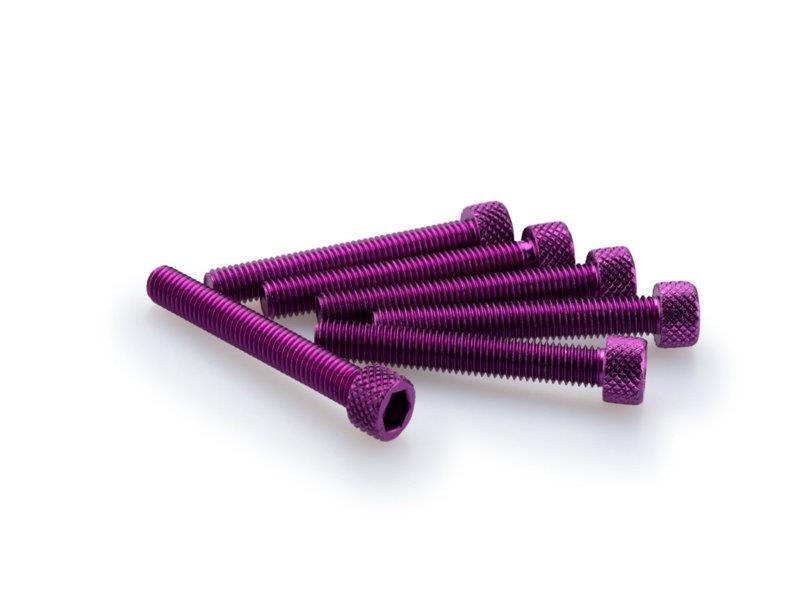 PUIG M5 45mm Allen Screws x 6 Purple Universal 0370L