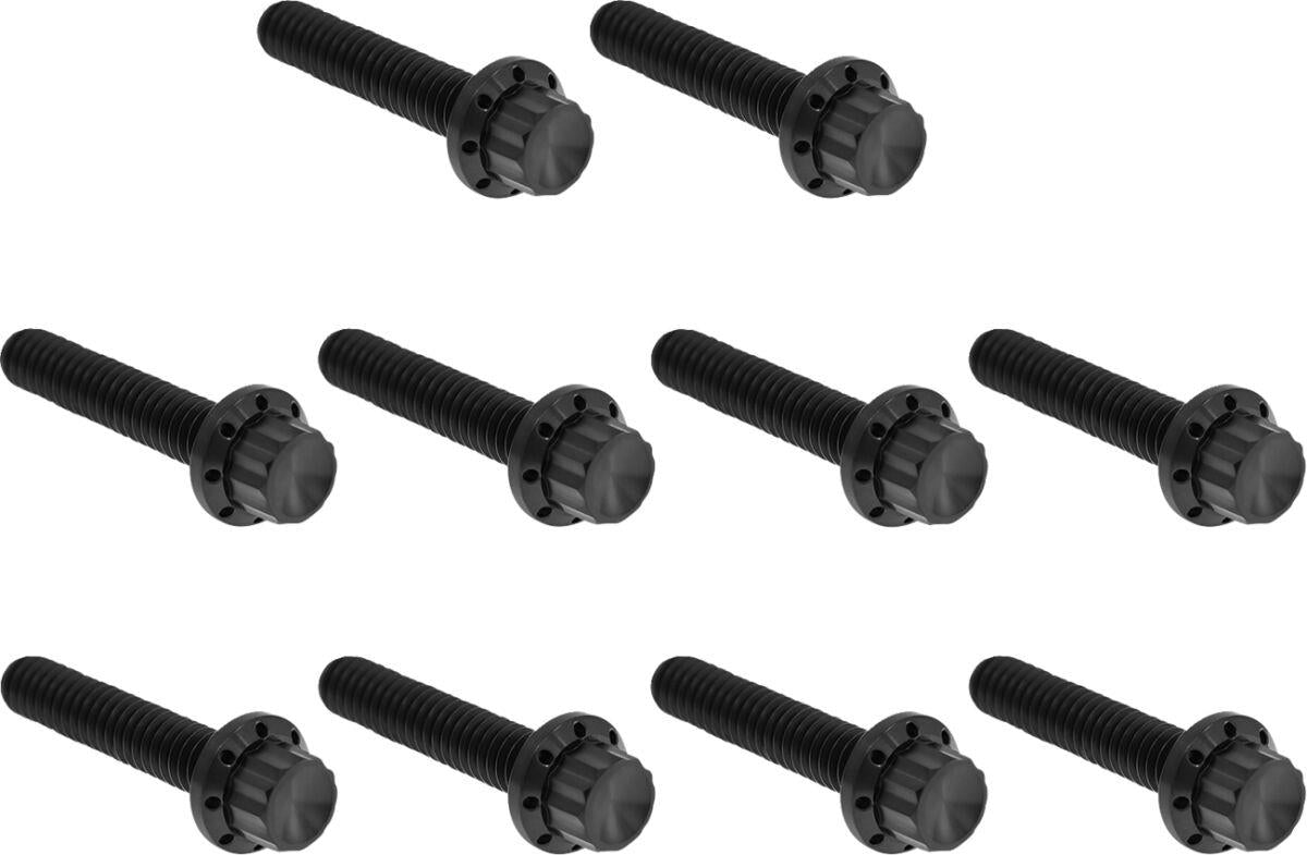 Arlen Ness Cam Cover/Point Cover Titanium 12-Point Bolt Kit Black 300-987