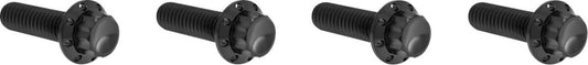 Arlen Ness Transmission Top Cover Titanium 12-Point Bolt Kit Black 300-978