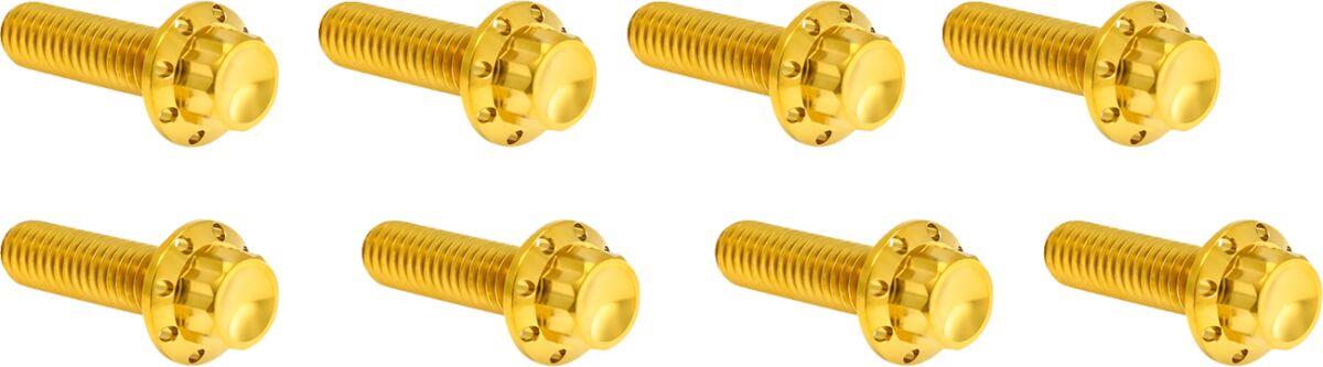 Arlen Ness Lifter Block Titanium 12-Point Bolt Kit Gold Titanium Kit 300-937