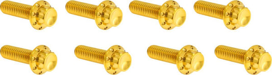 Arlen Ness Lifter Block Titanium 12-Point Bolt Kit Gold Titanium Kit 300-937