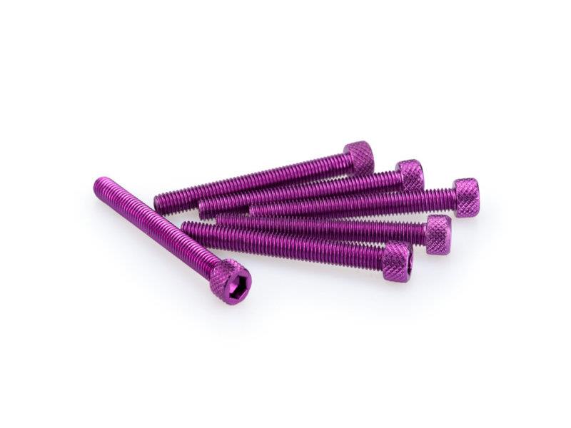 PUIG M5 55mm Allen Screws x 6 Purple Universal 0446L