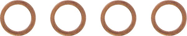 Magnum Shielding Braided Front Brake Line For Indian Scout 69 2018-2024 AS475033
