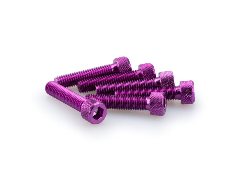PUIG M8 Domed Screws 35mm x 6 Purple Universal 0500L