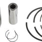 WSM Complete Piston Kit Plat Yamaha GP1300R 08 .5mm 010-860-05PK