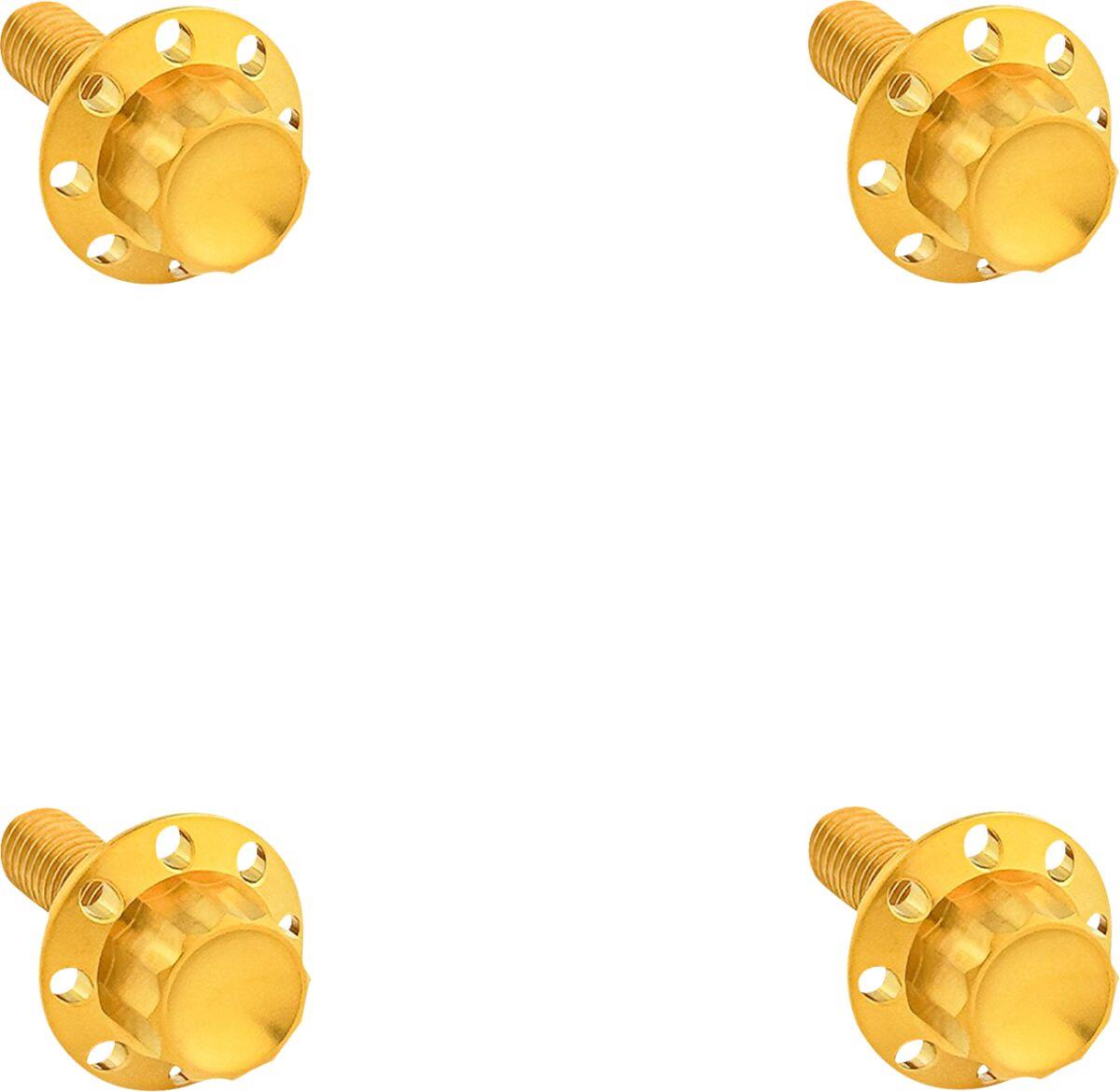 Arlen Ness 12-Point Windshield Bolt Kit Gold Titanium Kit 300-841