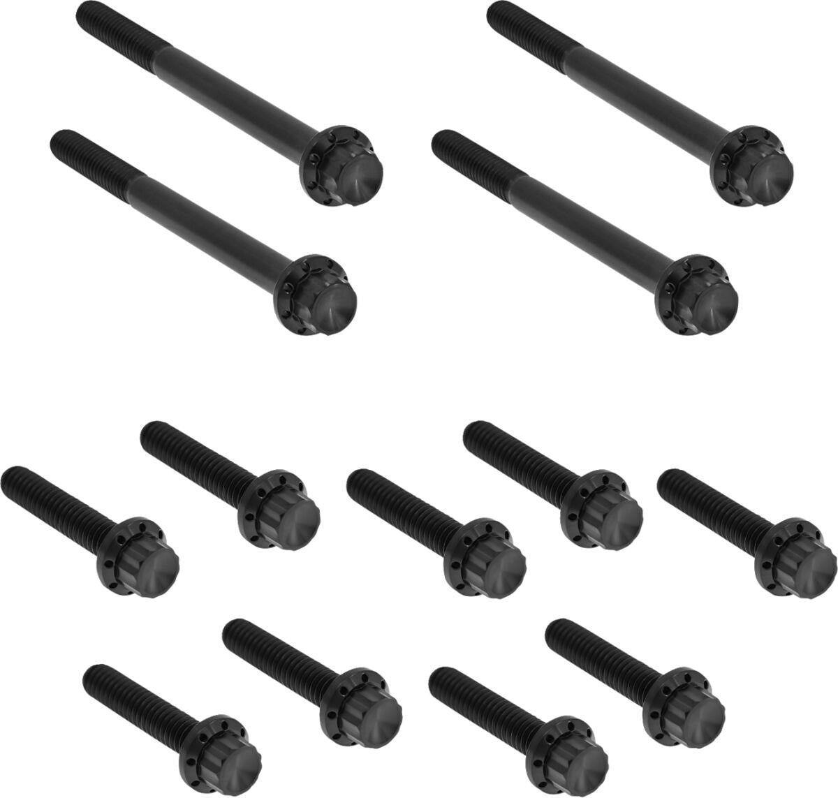 Arlen Ness Outer Primary Cover Titanium 12-Point Bolt Kit Black Titanium 300-930