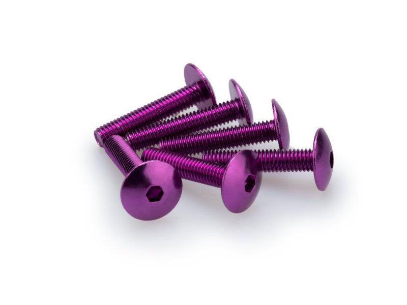 PUIG M6 Domed Screws 30mm x 6 Purple Universal 3995L