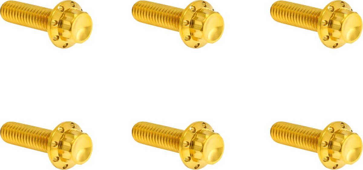 Arlen Ness Transmission Top Cover Titanium 12-Point Bolt Kit Gold 300-949