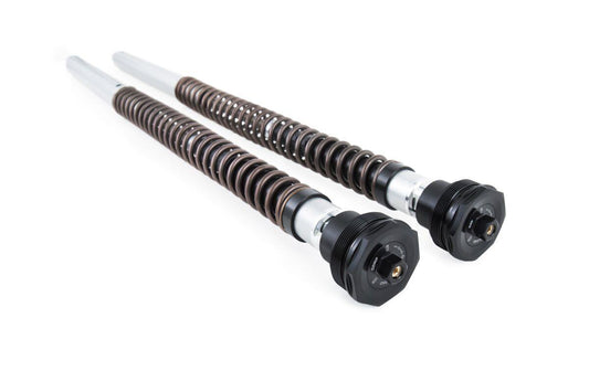 Ohlins Cartiridge Kit NIX30 For Triumph Daytona 660 2024-2026 Gold FGK 245