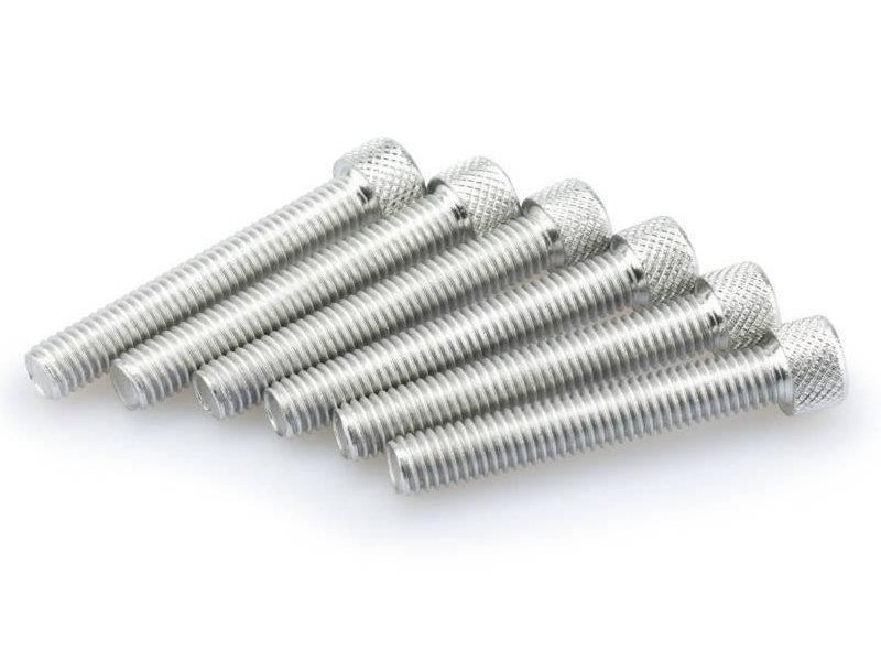 PUIG M8 50mm Allen Screws x 6 Silver Universal 0524P