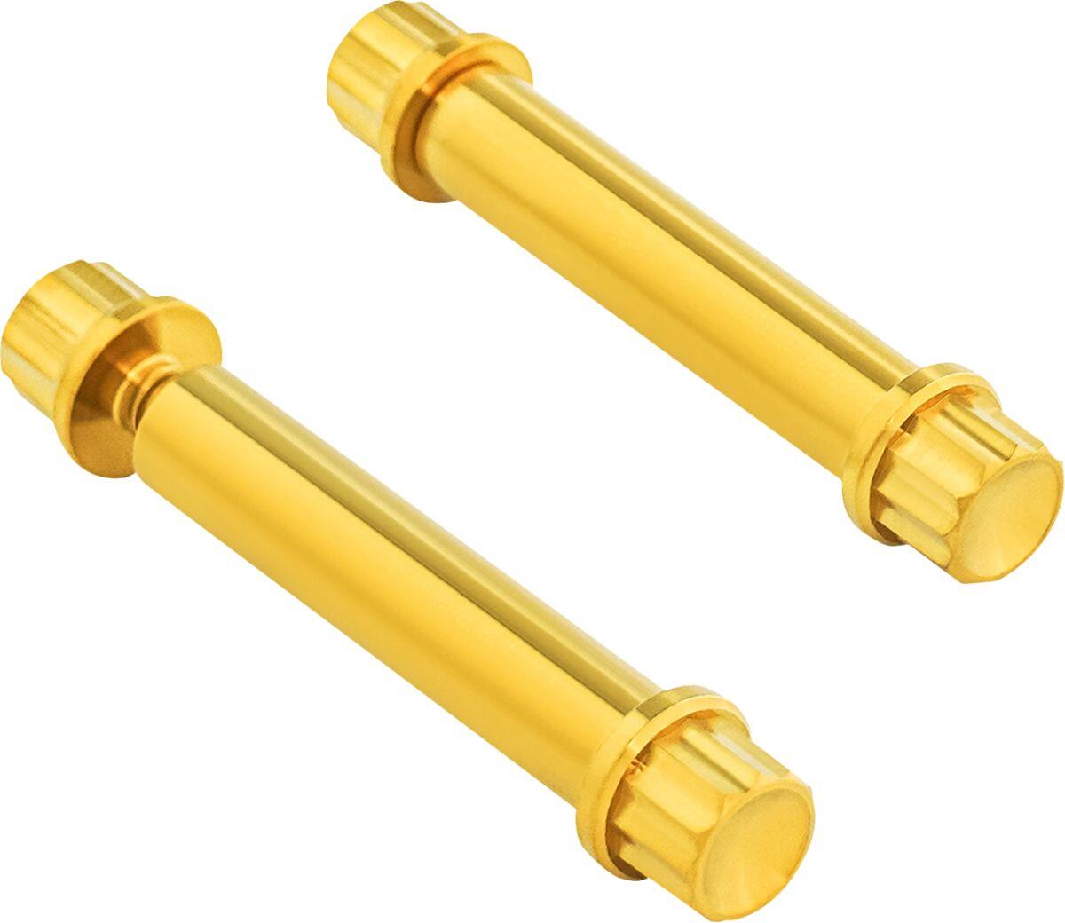 Arlen Ness Footpeg Titanium 12-Point Bolt Kit Gold Titanium Kit 300-805