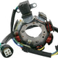 Yamaha YFB250F Timberwolf 92-93 Stator Assembly