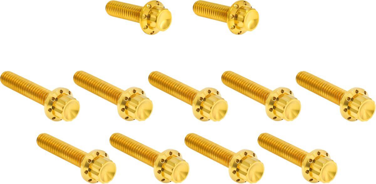Arlen Ness Cam Cover/Point Cover Titanium 12-Point Bolt Kit Gold 300-982