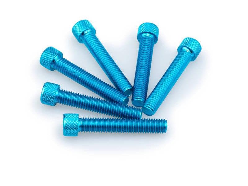 PUIG M8 45mm Allen Screws x 6 Blue Universal 0516A