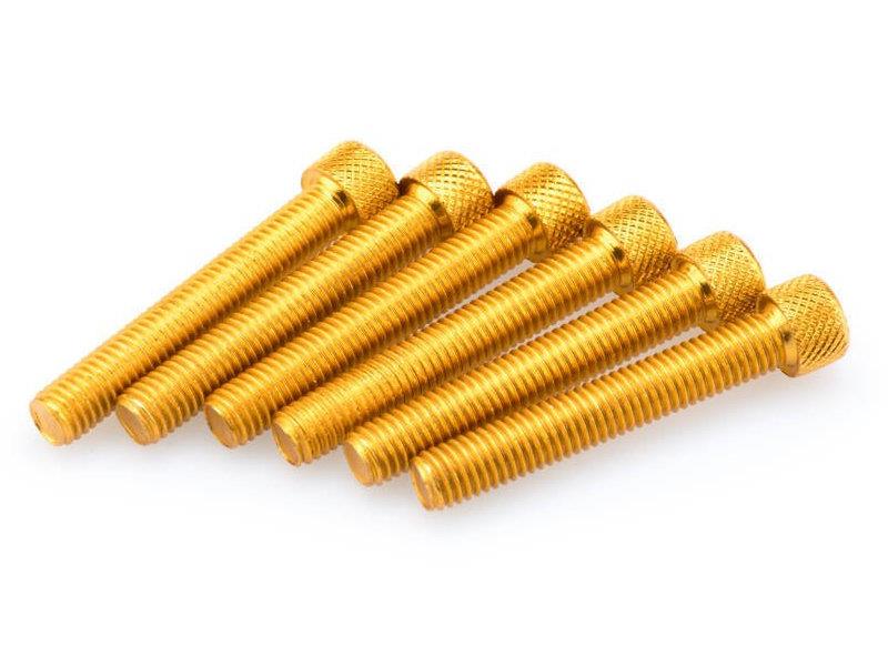 PUIG M8 50mm Allen Screws x 6 Yellow Universal 0524G