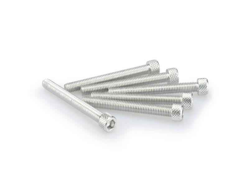 PUIG M5 55mm Allen Screws x 6 Silver Universal 0446P