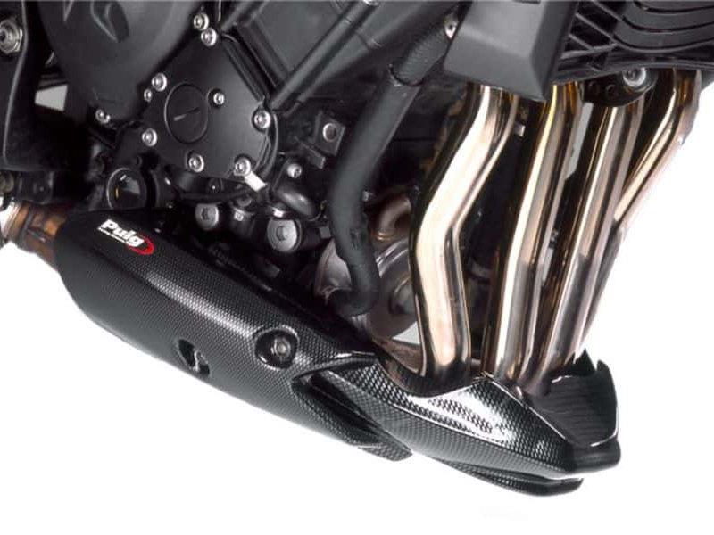 Puig Engine Spoiler Carbon Look 5991H
