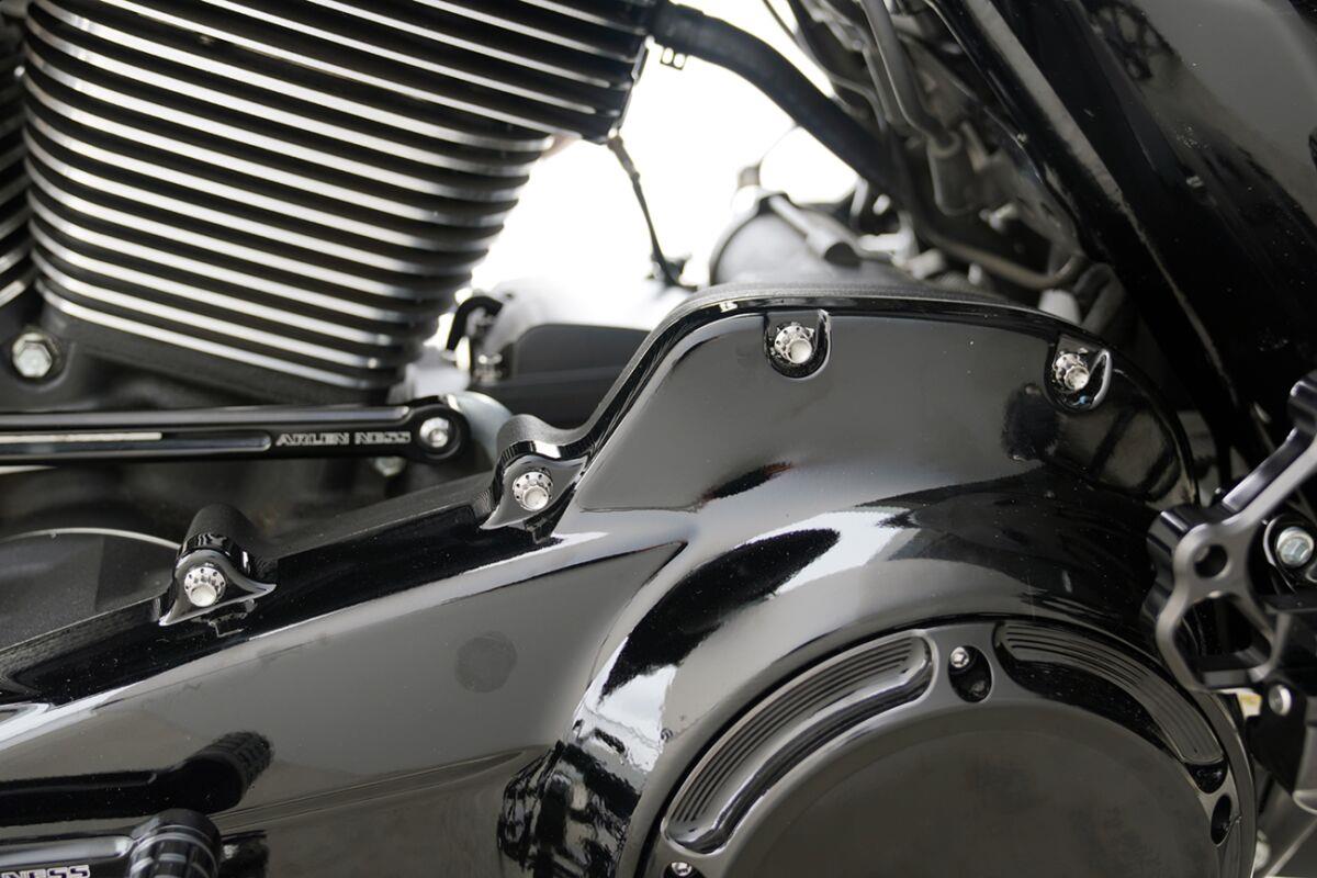 Arlen Ness Outer Primary Cover Titanium 12-Point Bolt Kit 300-926