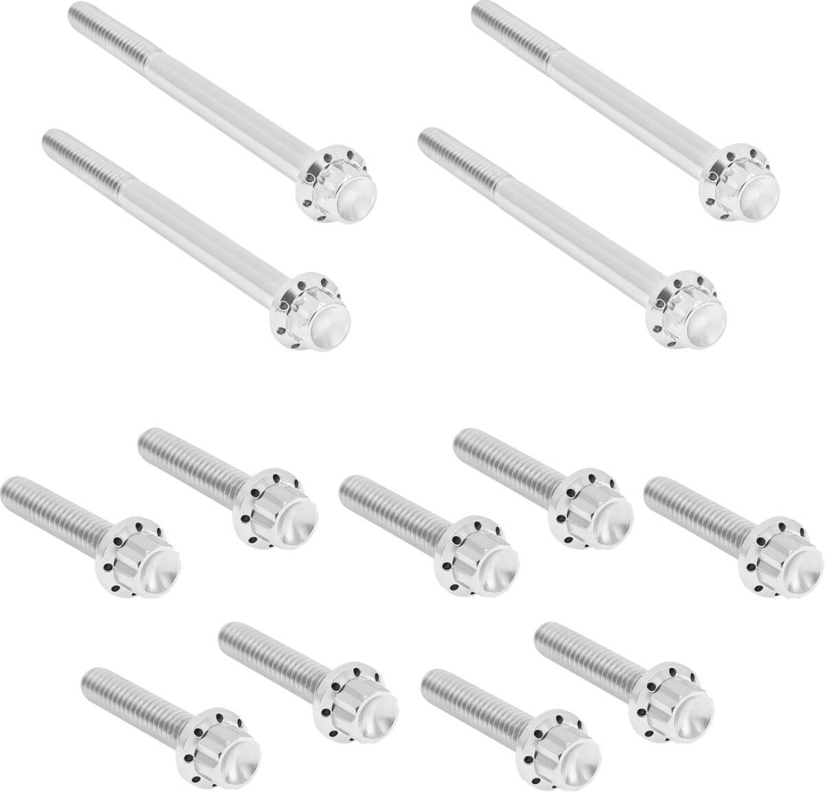 Arlen Ness Outer Primary Cover Titanium 12-Point Bolt Kit 300-929