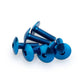 PUIG M6 Domed Screws 20mm x 6 Blue Universal 0657A