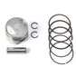 NARAKU Piston Set NK101.30