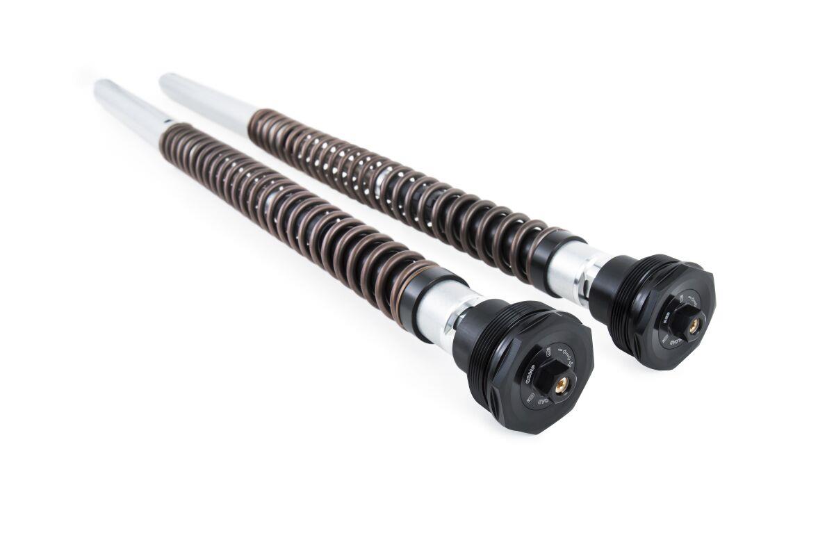 Ohlins Cartridge Kit NIX30 For Yamaha YZF-R9 2025-2026 Gold Aluminium FGK 244