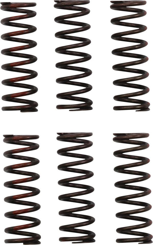 Pro Circuit Clutch Spring Set For Honda CRF 450 R 2021-2024 Set CSH21450-CS