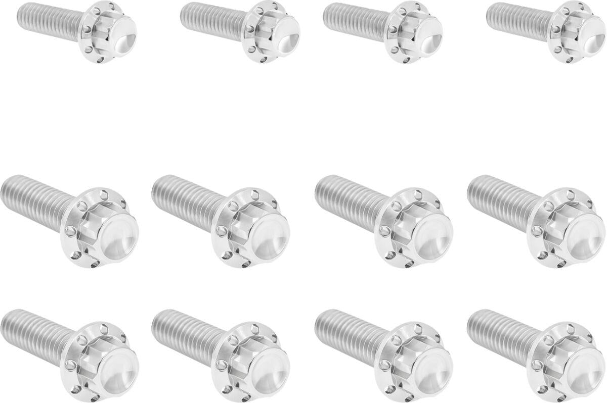 Arlen Ness Transmission Side Cover & Trap Door 12-Point Bolt Kit 300-953