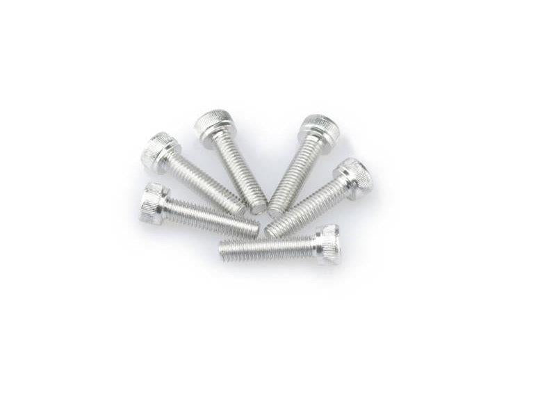 PUIG M5 20mm Allen Screws x 6 Silver Universal 0147P