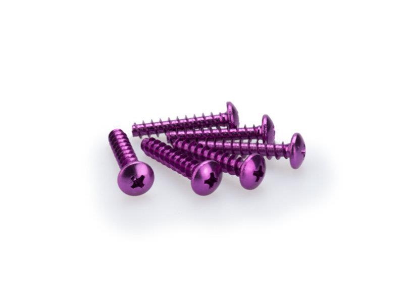 PUIG M6 Domed Screws 30mm x 6 Purple Universal 2543L