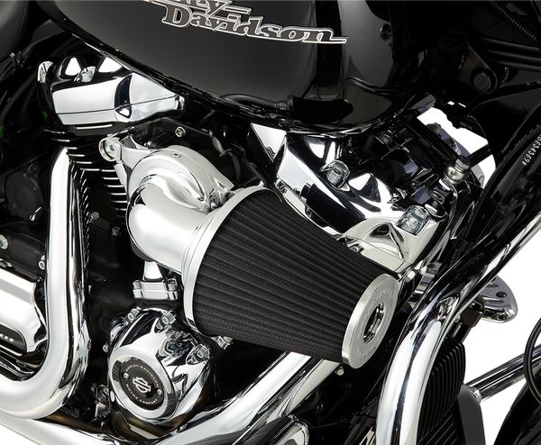 Arlen Ness Monster Sucker Air Cleaner Kit For HD FXLRS 1923 17-24 81-034