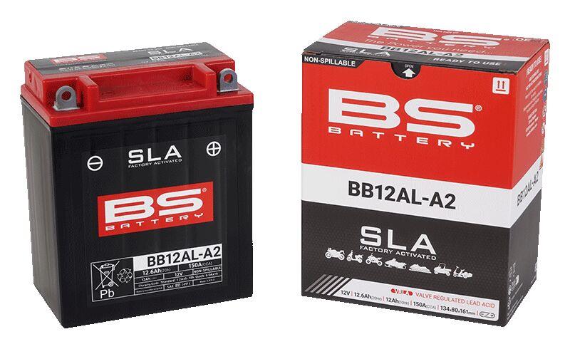 BS Battery SLA Factory-Activated AGM Batteries For Yamaha XV 535 DX 83-23 300837